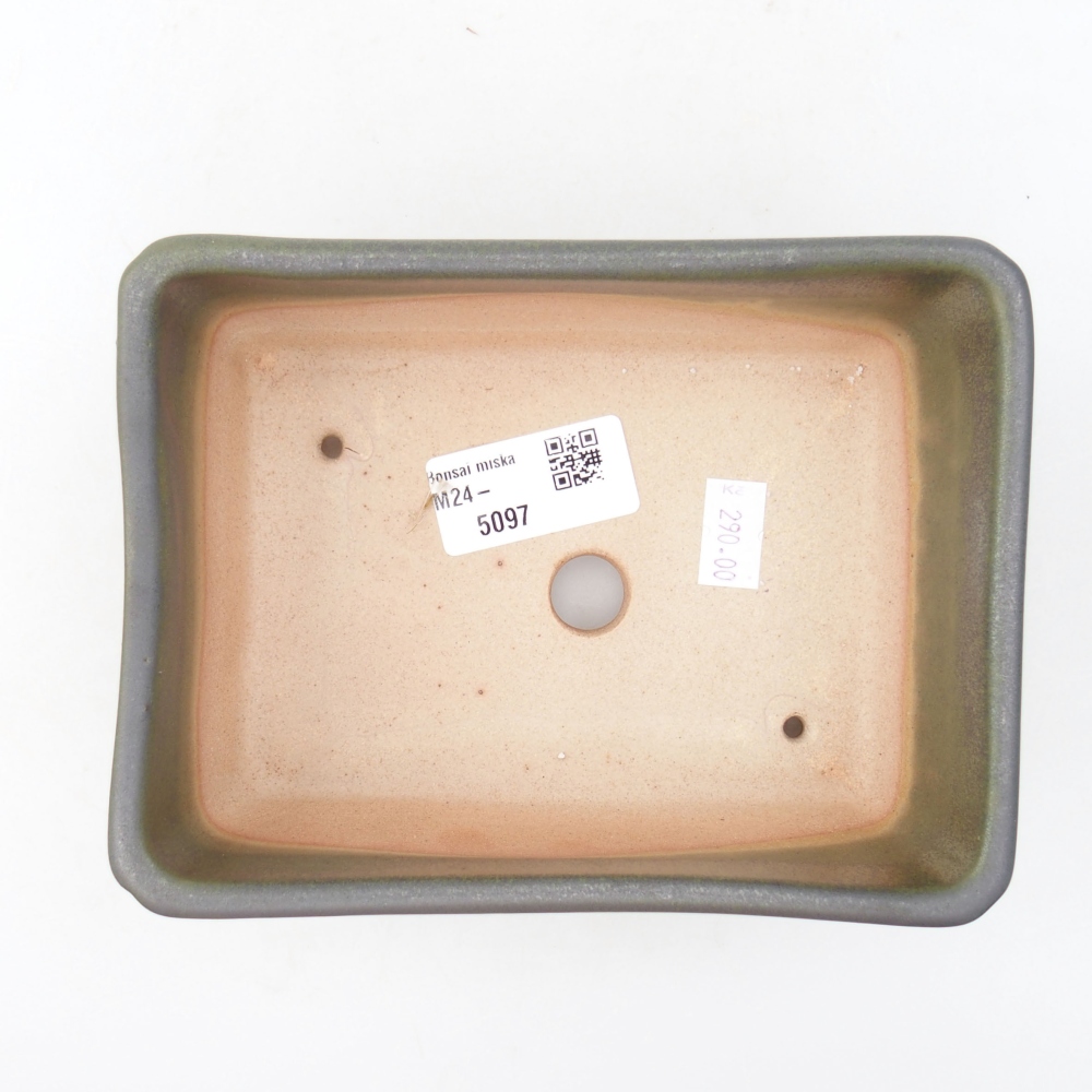 Bol à bonsaï en céramique 16 x 12 x 6 cm, vert