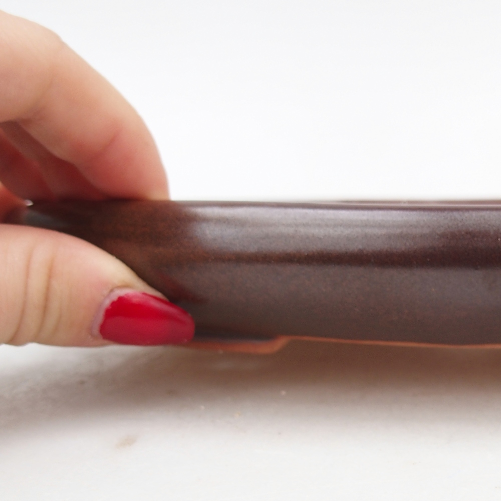 Bol à bonsaï en céramique 22 x 17 x 3 cm, brun