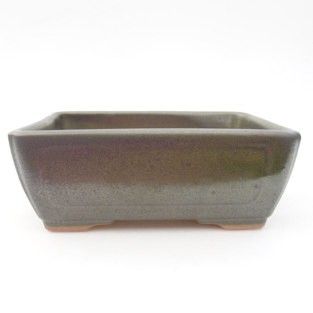Bol à bonsaï en céramique 16 x 12 x 6 cm, vert