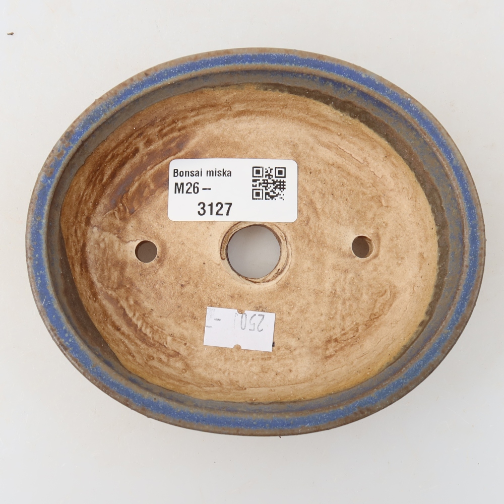 Pot à bonsaï en céramique 12,5 x 10,5 x 3,5 cm, couleur bleue