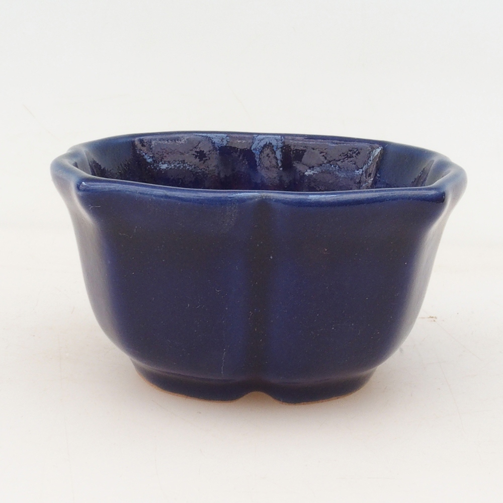 Coupe bonsaï H95 - 7,5 x 7,5 x 4 cm - bleu