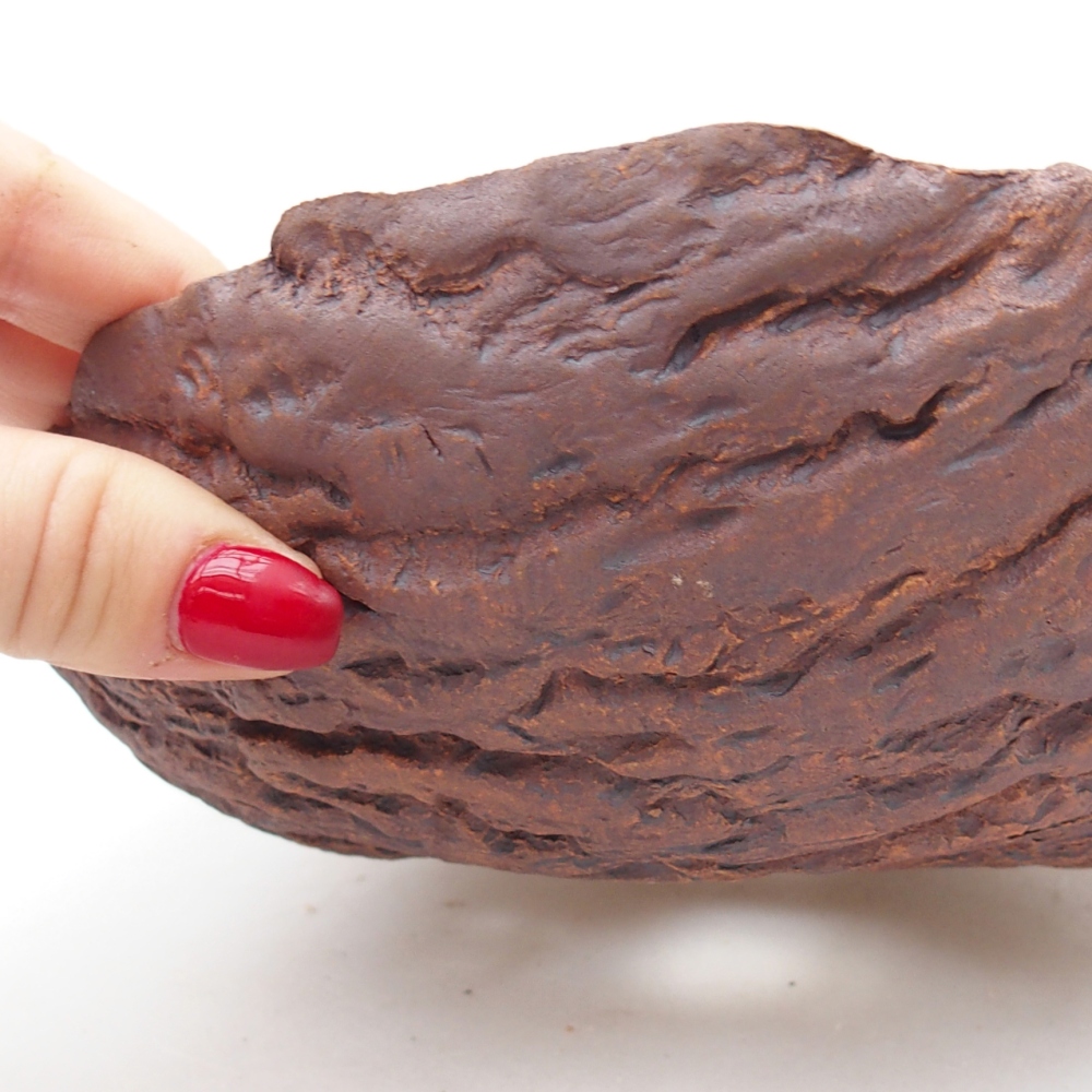 Coquille en céramique 19 x 19 x 6,5 cm , couleur marron