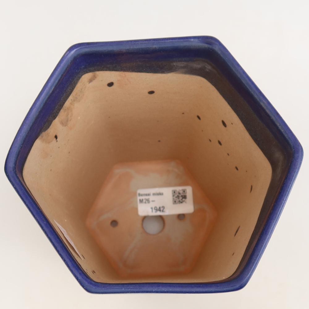 Pot à bonsaï en céramique 13 x 12 x 17 cm, couleur bleue