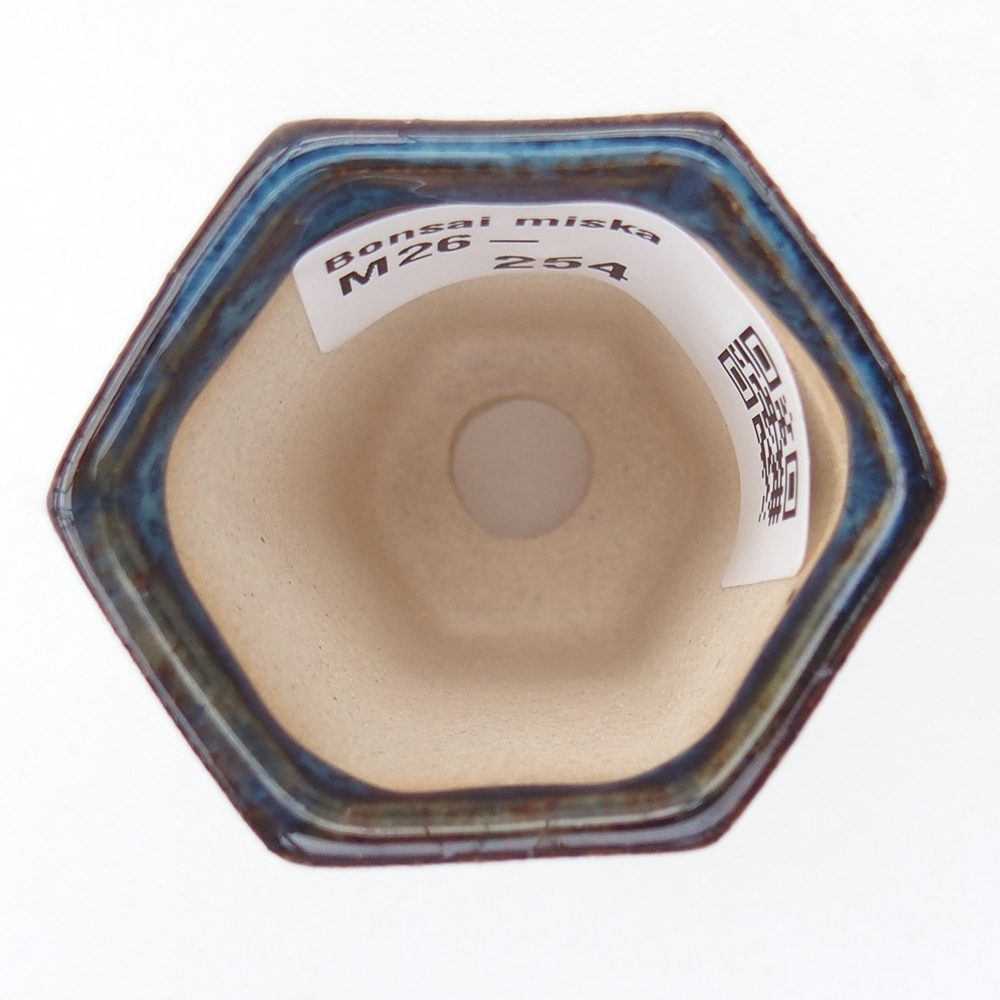 Mini bol bonsaï 4 x 3,5 x 5,5 cm, couleur bleu