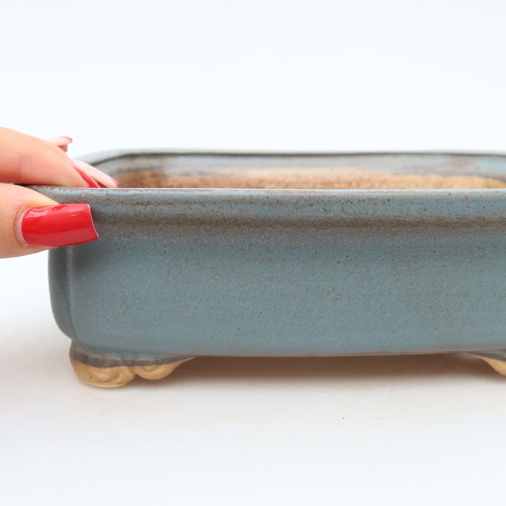 Pot à bonsaï en céramique 20 x 17,5 x 6 cm, couleur bleue