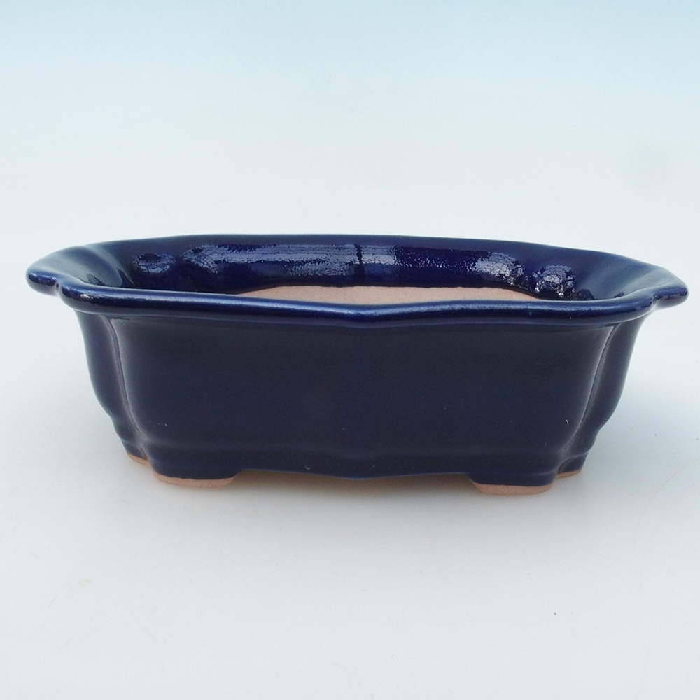 Coupe bonsaï H51 - 18 x 14 x 5 cm - bleu