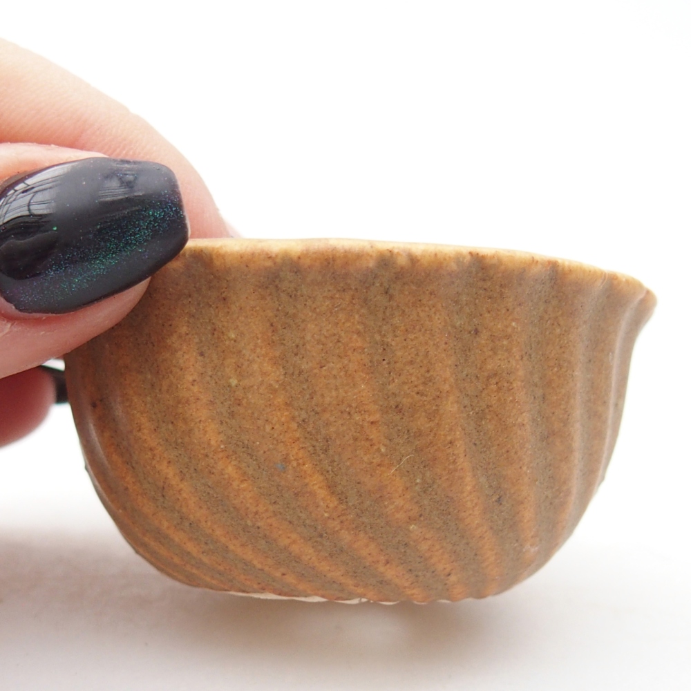 Mini bol bonsaï 5,5 x 5,5 x 3 cm, brun