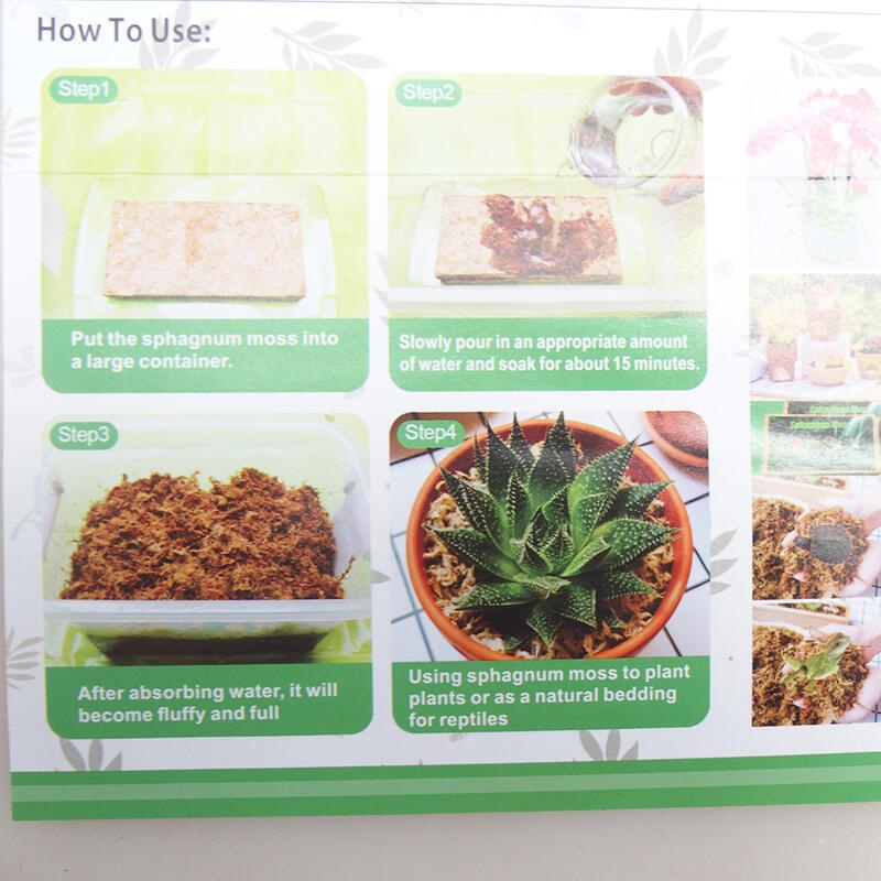 Sphaigne - tourbe de sphaigne 1 kg