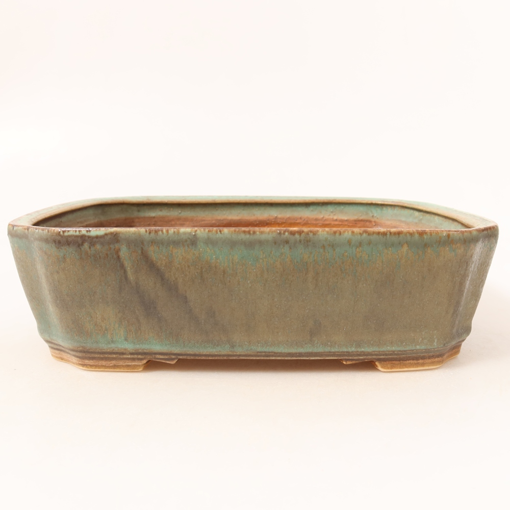 Pot à bonsaï en céramique 21,5 x 18 x 6 cm, couleur verte