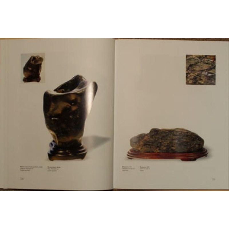 Suiseki, Gongshi, Suseok - Igor Bárta