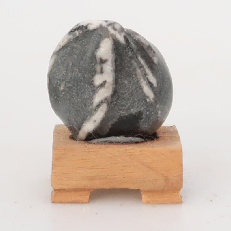 Suiseki - Pierre avec DAI (base en bois)