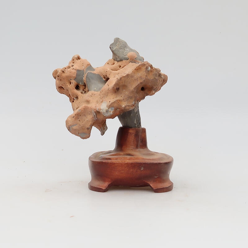 Suiseki - Pierre avec DAI (base en bois)