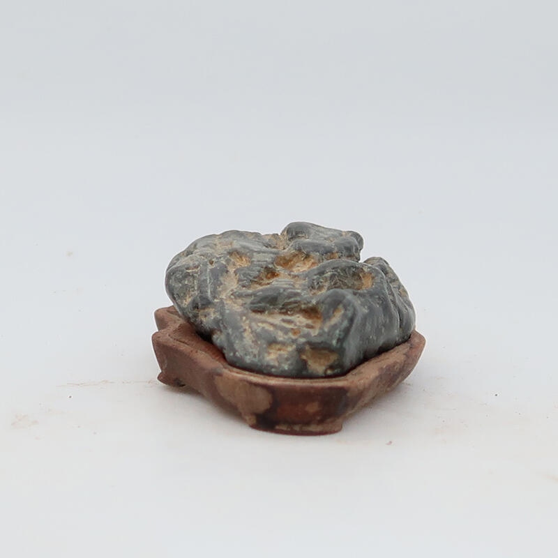 Suiseki - Pierre avec DAI (base en bois)