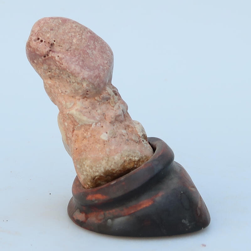 Suiseki - Pierre avec DAI (base en bois)