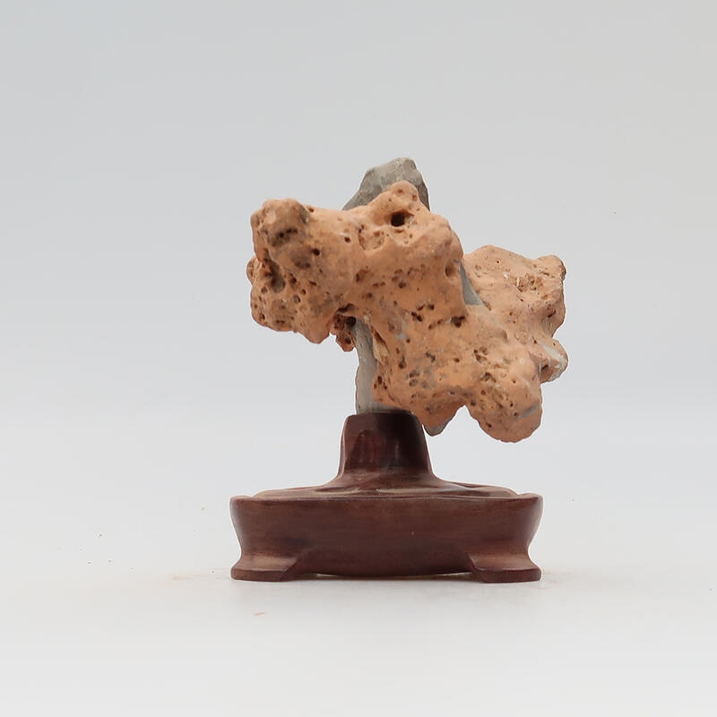 Suiseki - Pierre avec DAI (base en bois)