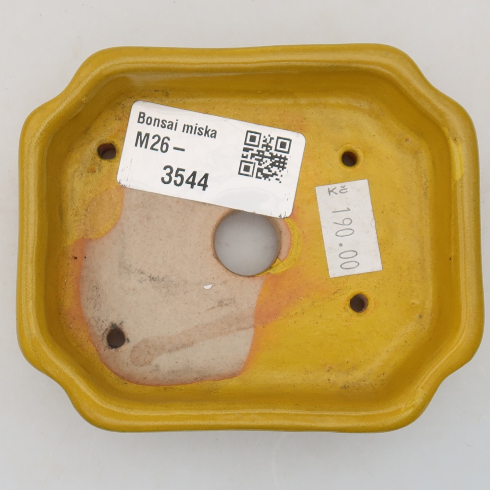 Pot à bonsaï en céramique 10 x 8 x 2,5 cm, couleur jaune