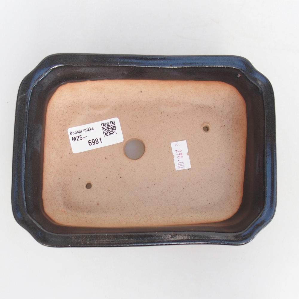 Bol à bonsaï en céramique 18 x 13,5 x 5 cm, couleur noire