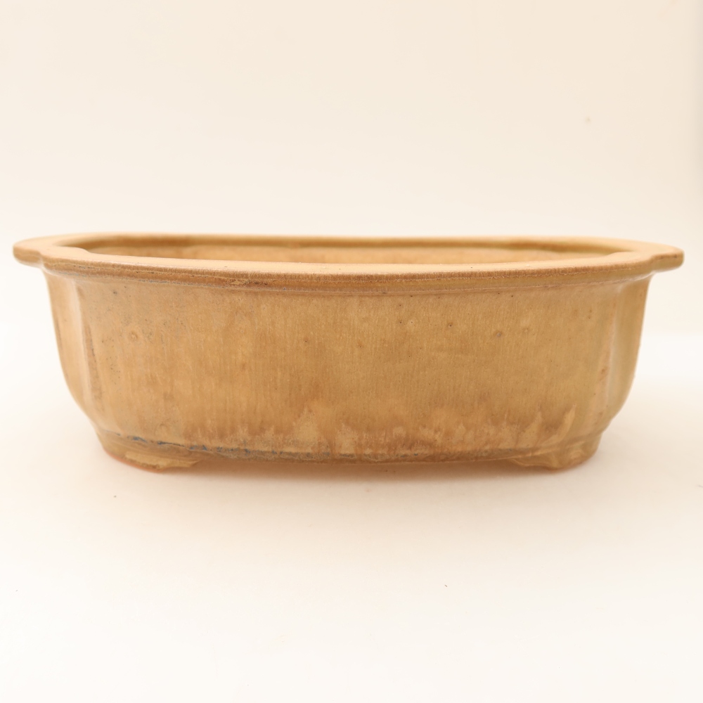 Pot à bonsaï en céramique 24,5 x 21 x 7,5 cm, couleur beige