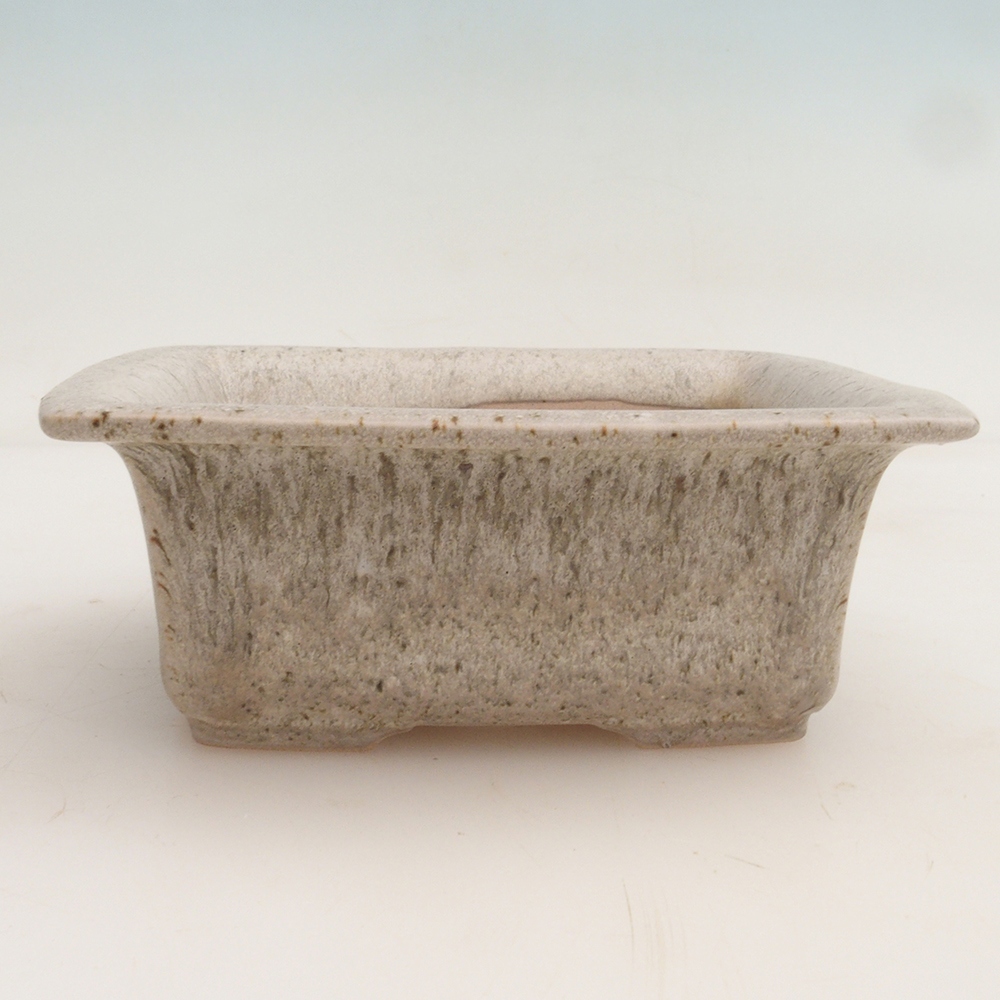 Coupe bonsaï H11 - 11,5 x 10 x 4 cm - beige