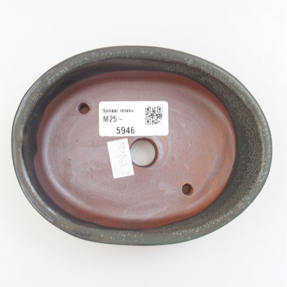 Bol à bonsaï en céramique 22 x 17 x 5 cm, vert