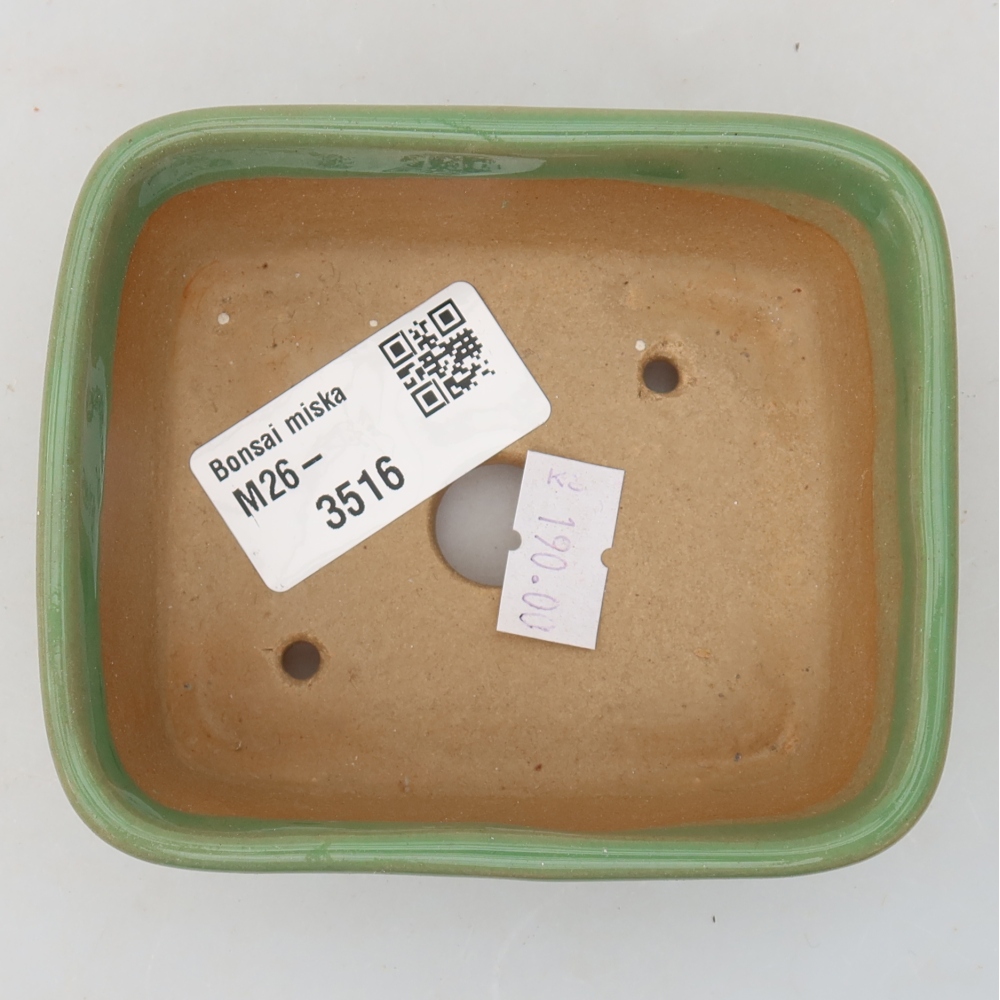 Pot à bonsaï en céramique 10 x 8 x 3,5 cm, couleur verte