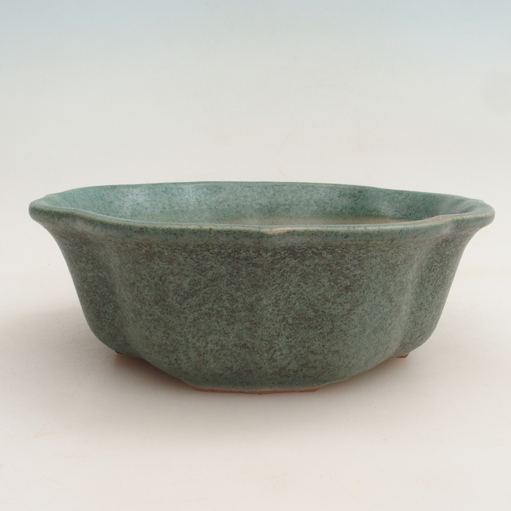 Bol à bonsaï H06 - 14,5 x 14,5 x 5 cm.