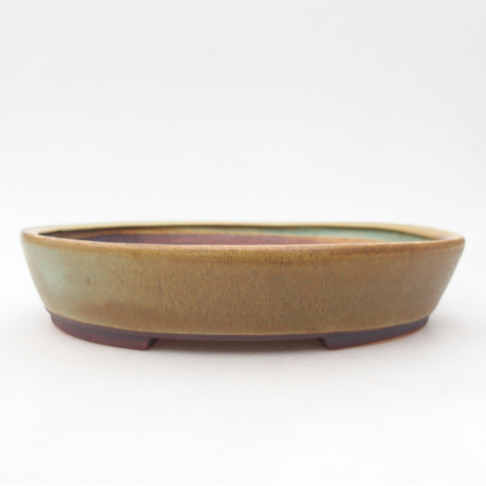 Bol à bonsaï en céramique 22,5 x 20 x 4,5 cm, vert