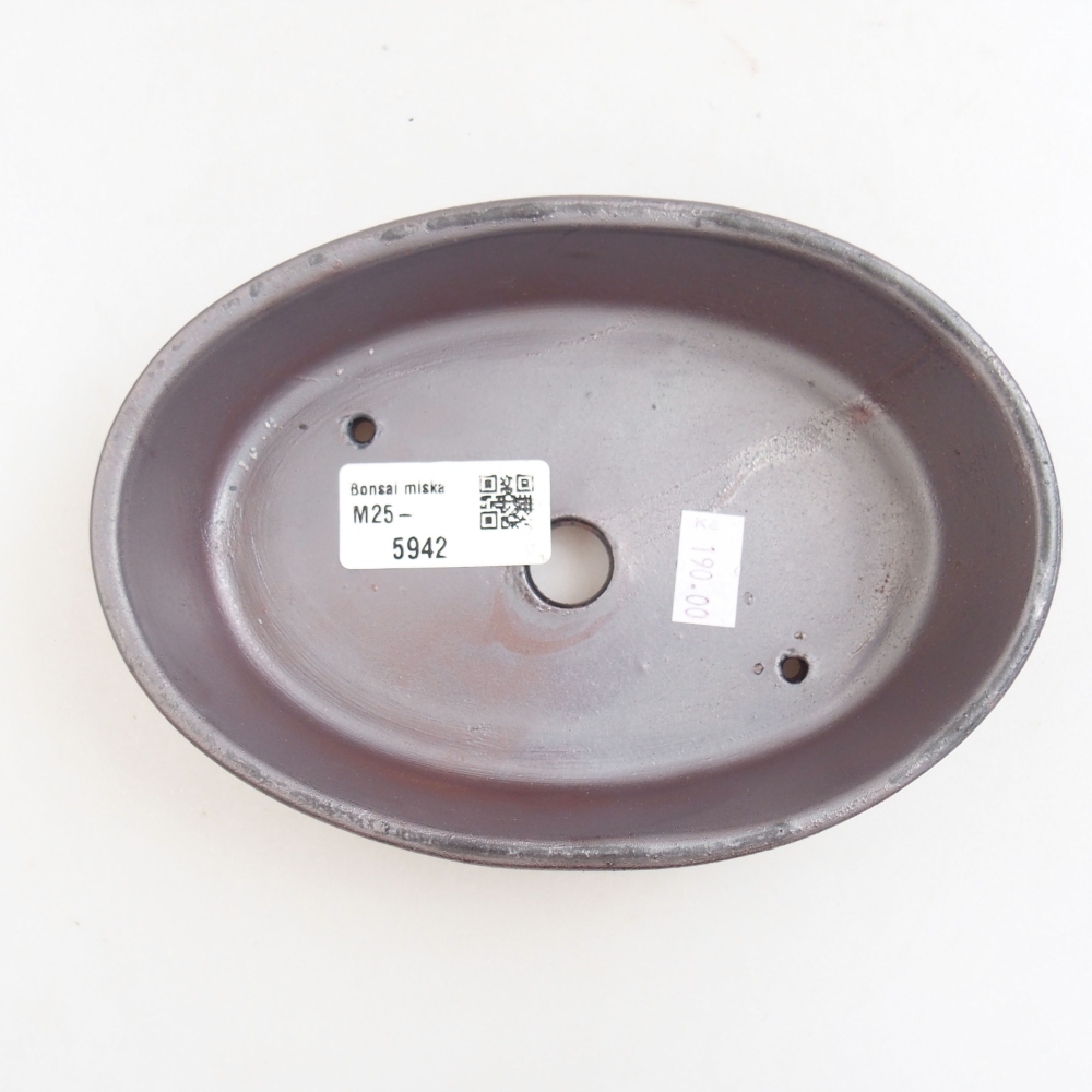 Bol à bonsaï en céramique 22 x 17 x 5 cm, vert