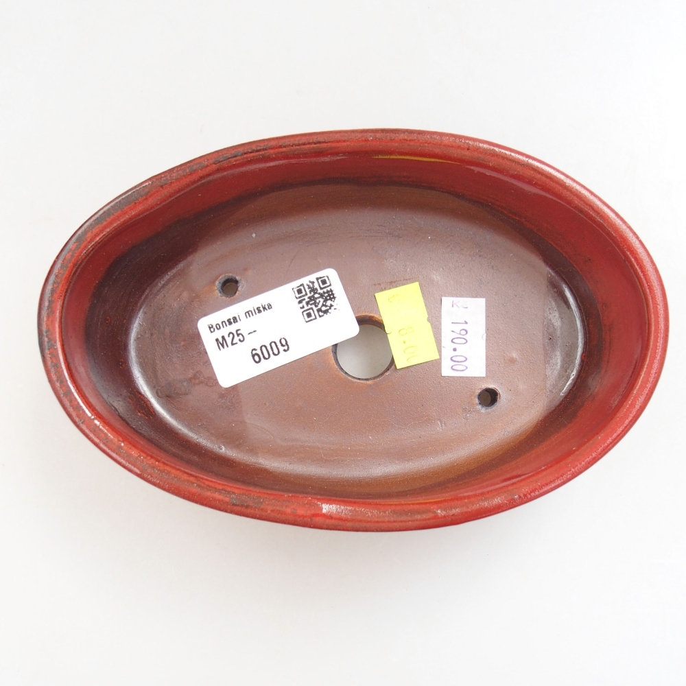 Bol à bonsaï en céramique 22 x 17 x 5 cm, vert