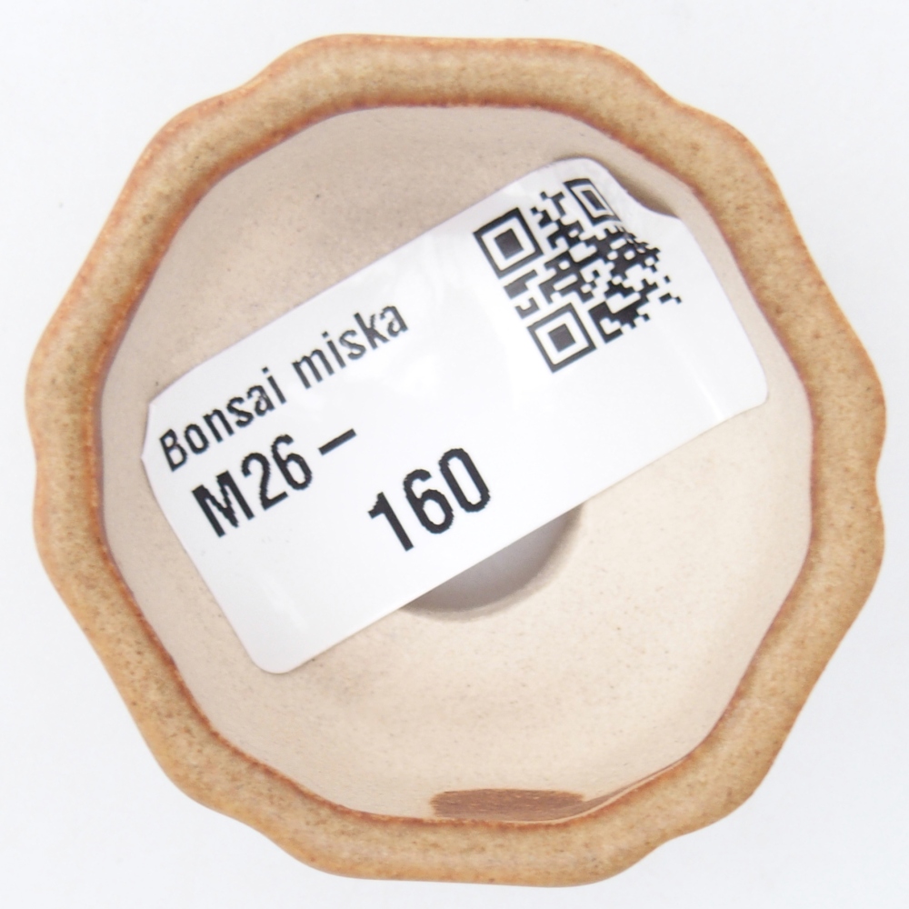 Mini bol bonsaï 4,5 x 4,5 x 2,5 cm, brun