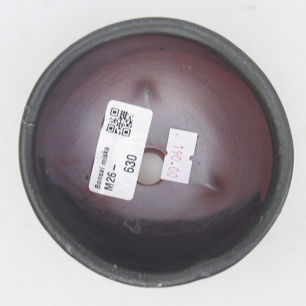 Bol à bonsaï en céramique 125 x 10 x 3 cm, brun