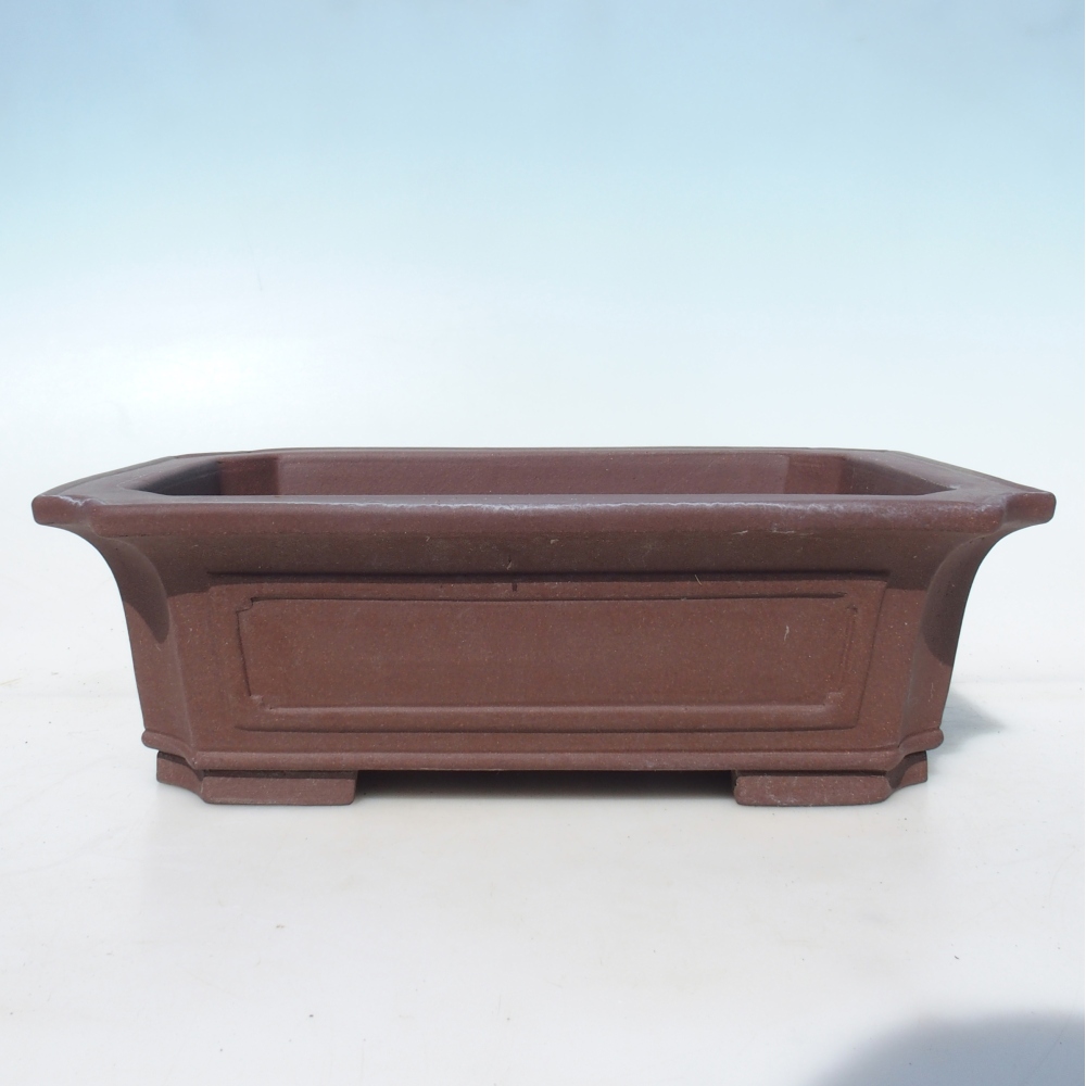 Bol pour bonsaï 35,5 x 36,5 x 11 cm bouleau brun