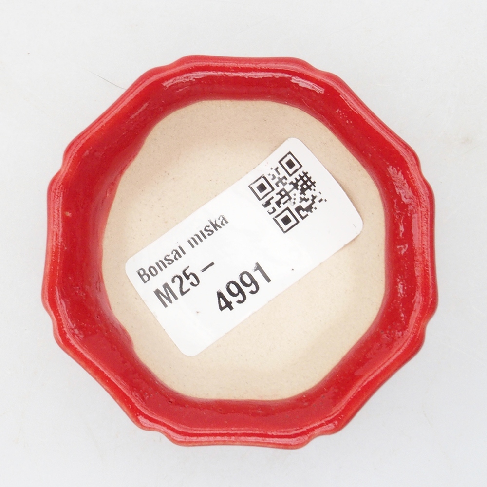 Mini bol bonsaï 6 x 6 x 2 cm, couleur rouge