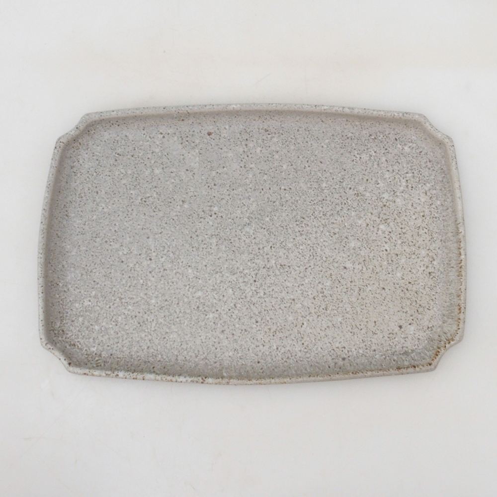 Bol bonsaï + soucoupe H07 - 30 x 20,5 x 8 cm - beige