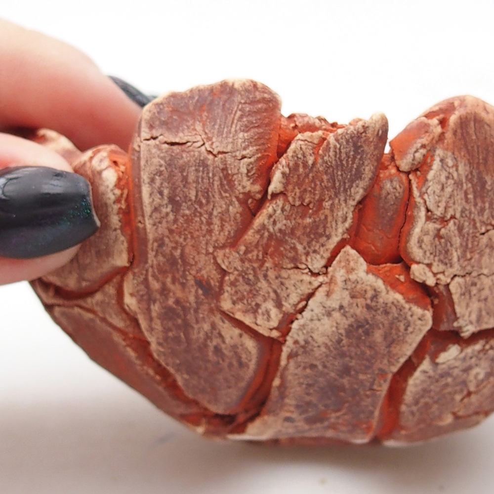 Coquille en céramique 9 x 9 x 5 cm , couleur orange