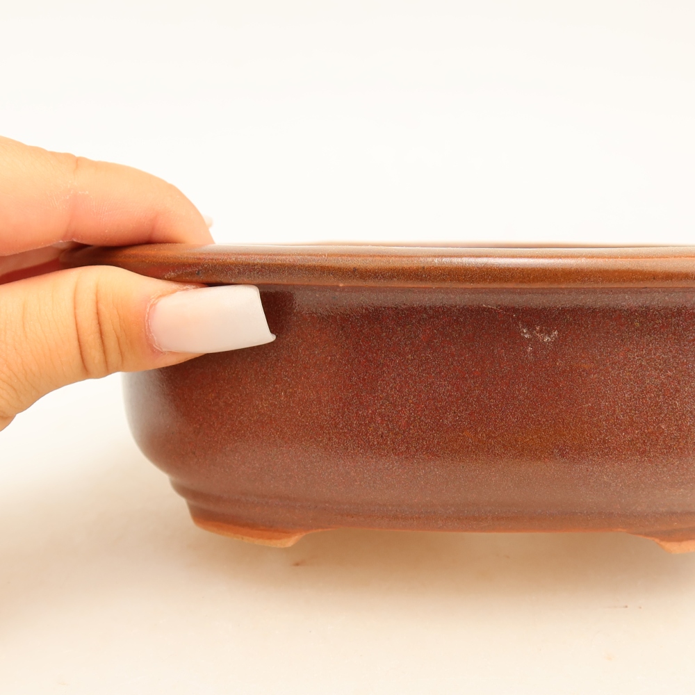 Pot à bonsaï en céramique 18 x 14,5 x 5,5 cm, couleur bordeaux