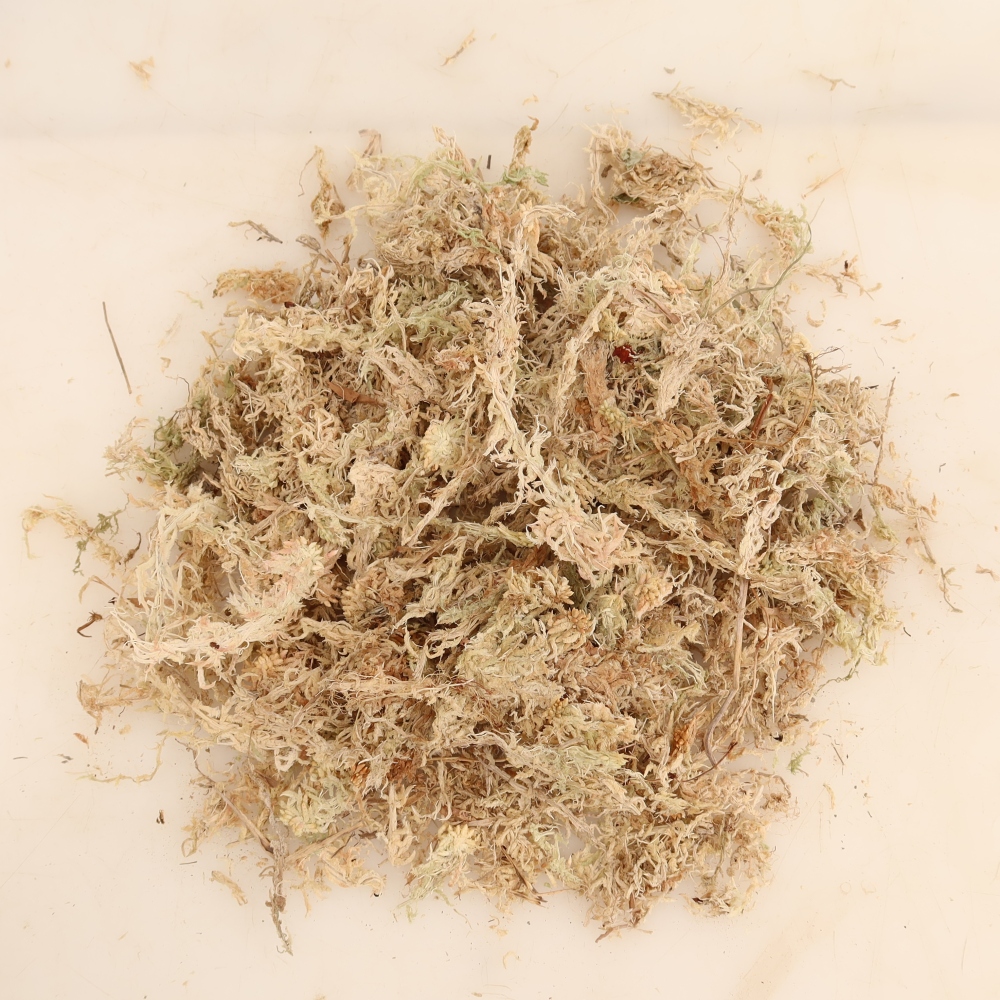Sphagnum - tourbe de sphaigne 150 g