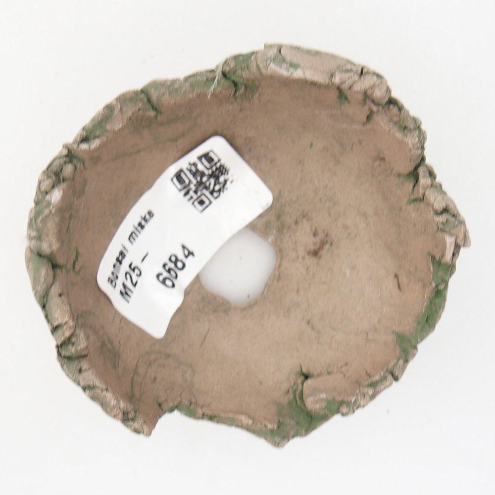 Coquille en céramique 7 x 7 x 4 cm , couleur verte