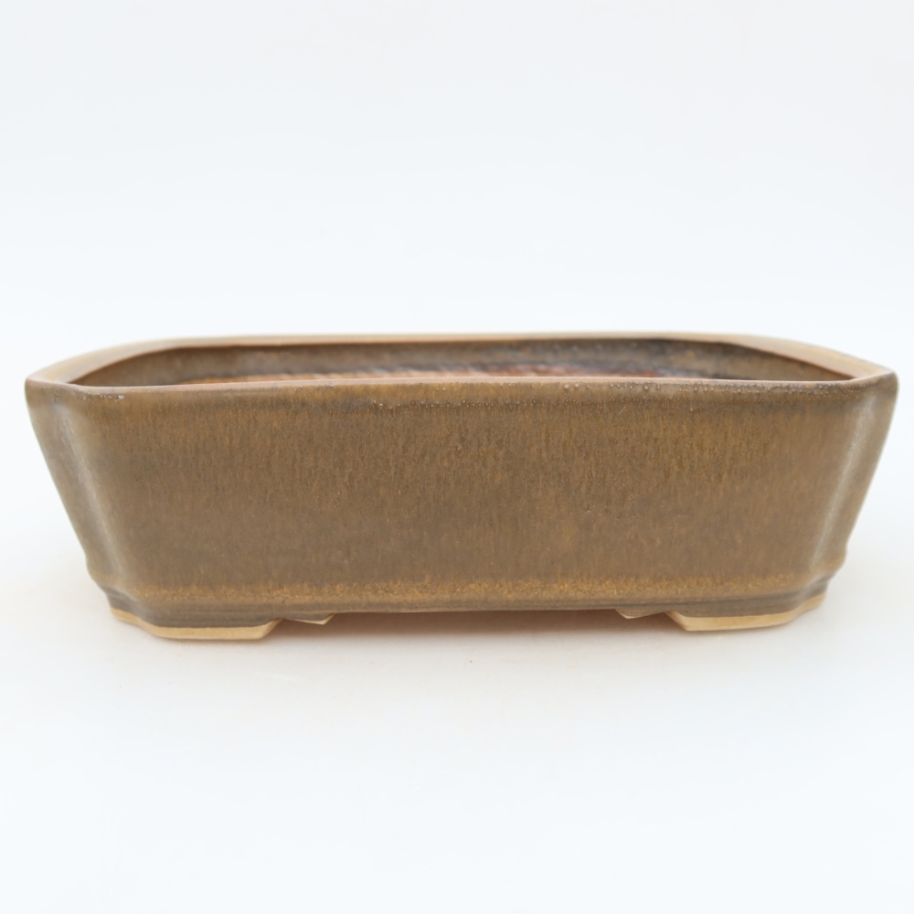 Pot à bonsaï en céramique 21,5 x 18 x 6 cm, couleur marron