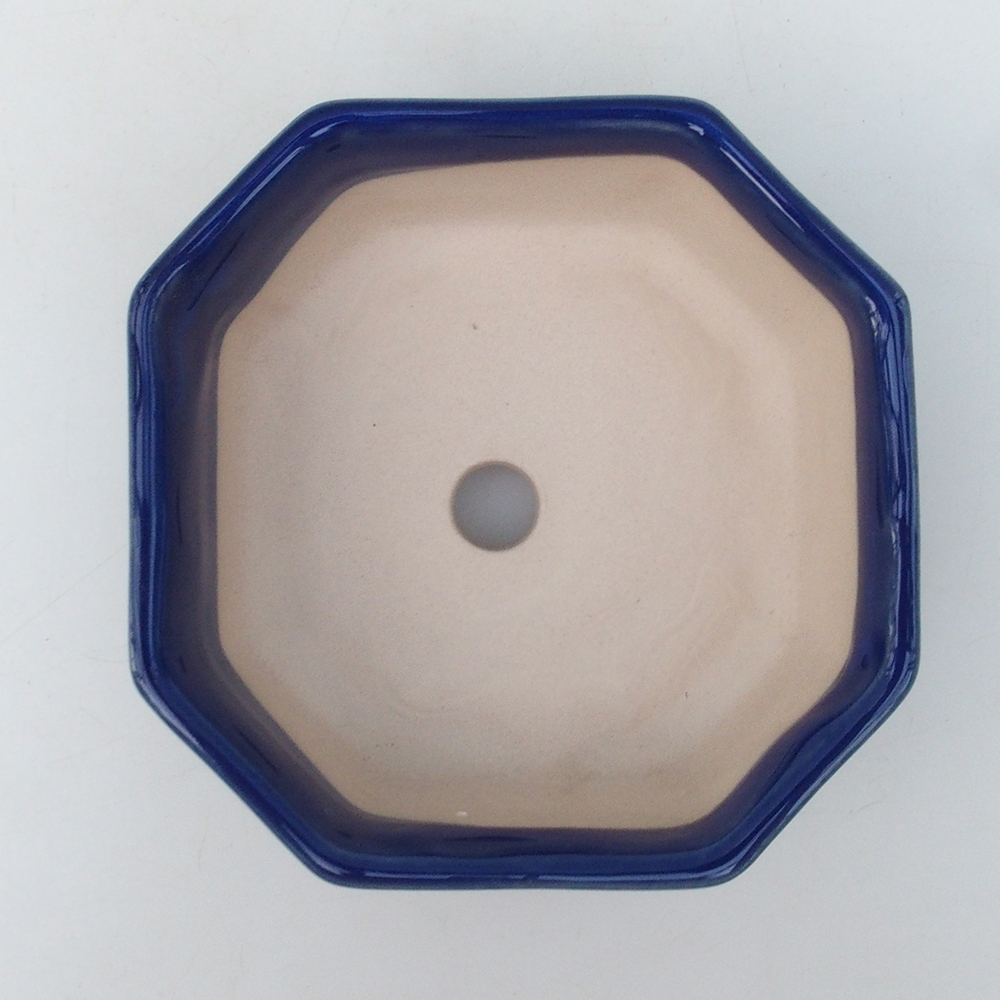 Coupe bonsaï H13 - 12,5 x 12,5 x 4,5 cm - bleu