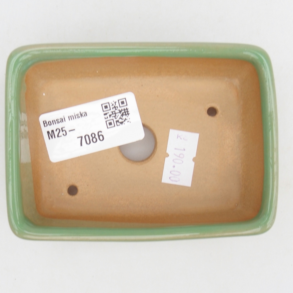 Bol à bonsaï en céramique 10 x 7 x 3 cm, vert
