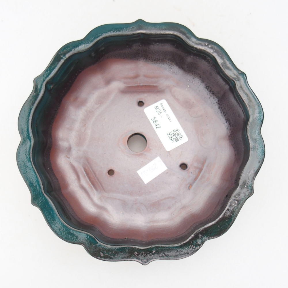 Bol à bonsaï en céramique 22 x 17 x 5 cm, vert