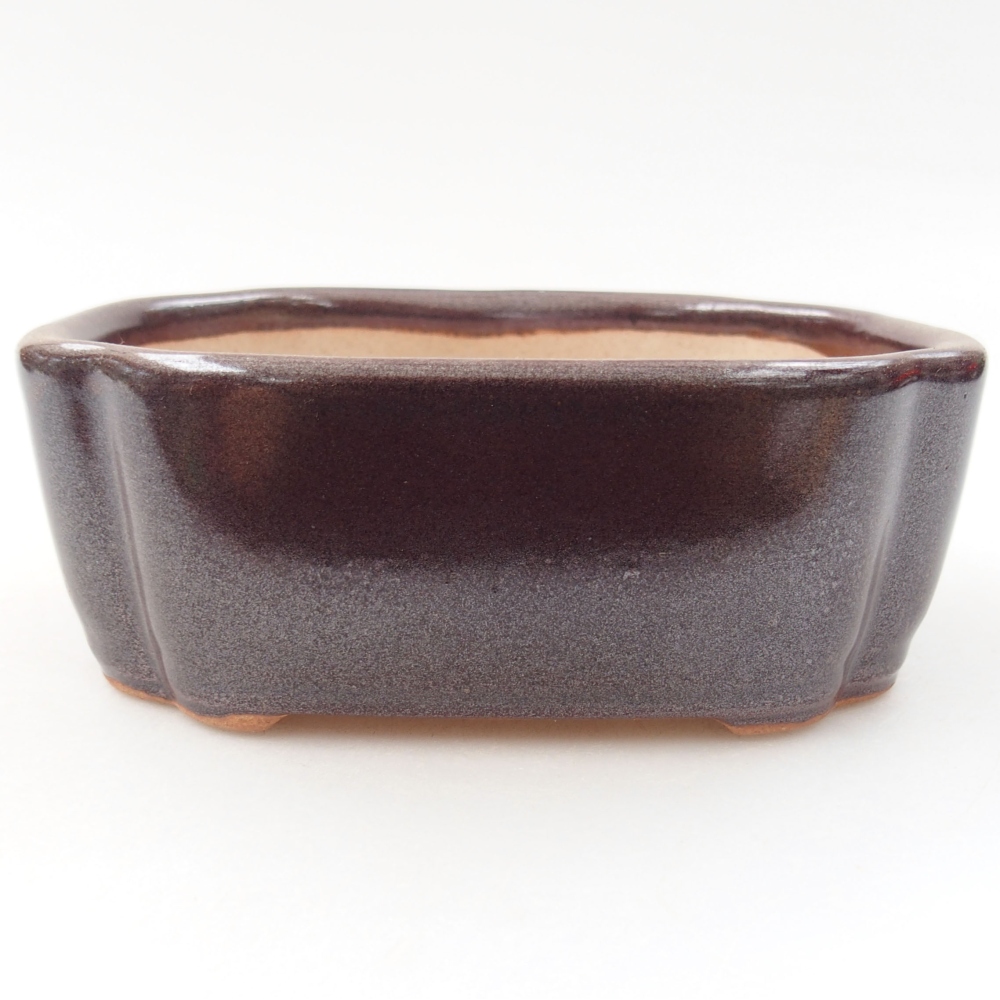 Bol à bonsaï en céramique 22 x 17 x 5 cm, vert