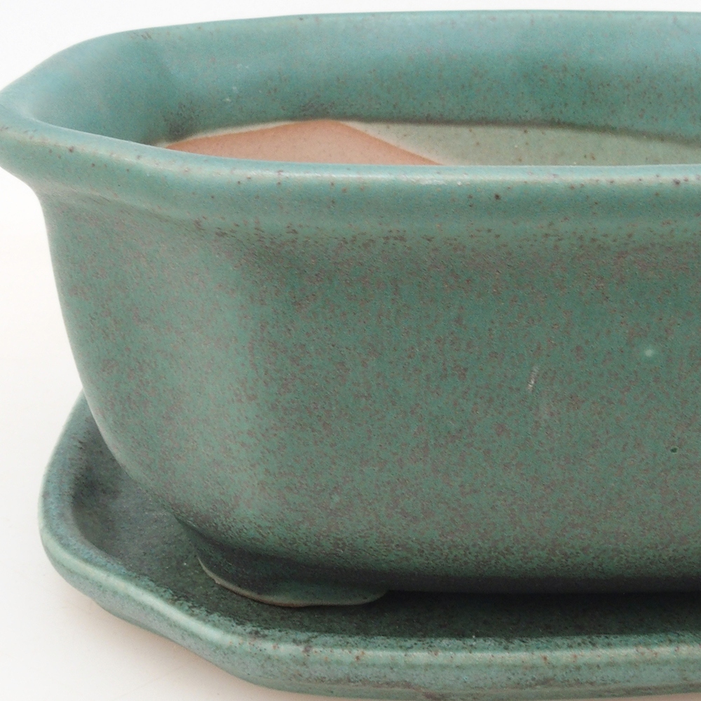 Bol Bonsaï + soucoupe H32 - vert