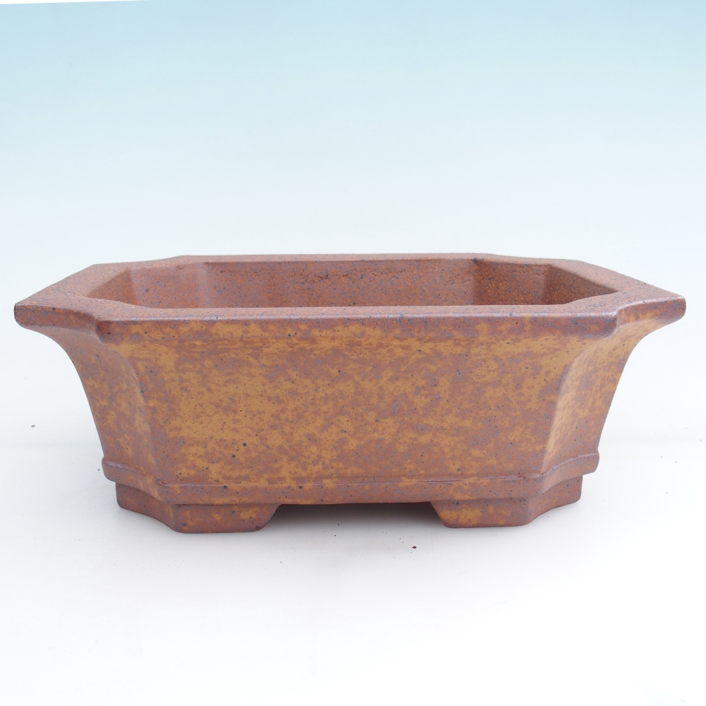 Bol à bonsaï en céramique 23,5 x 17,5 x 8,5 cm, brun