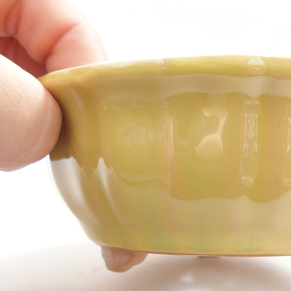 Bol à bonsaï en céramique 22 x 17 x 5 cm, vert