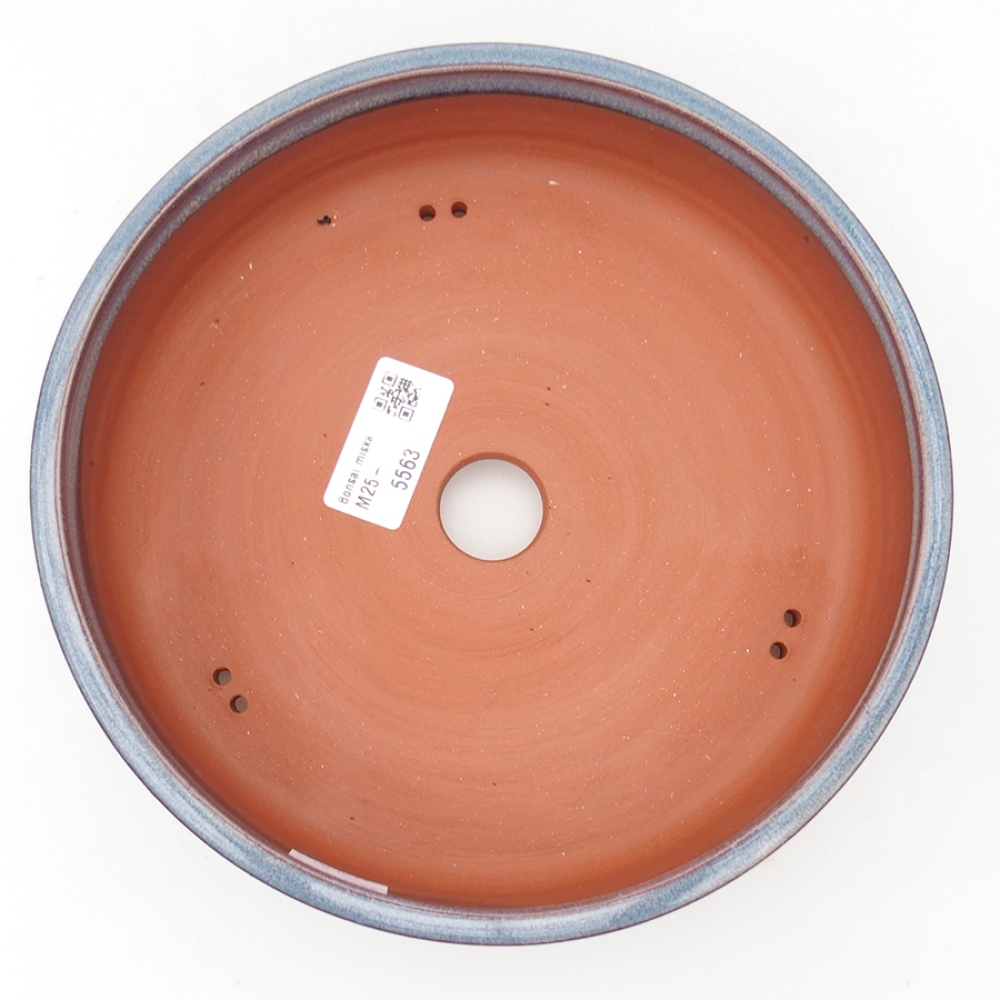 Bol à bonsaï en céramique 20 x 20 x 5 cm, couleur bleu