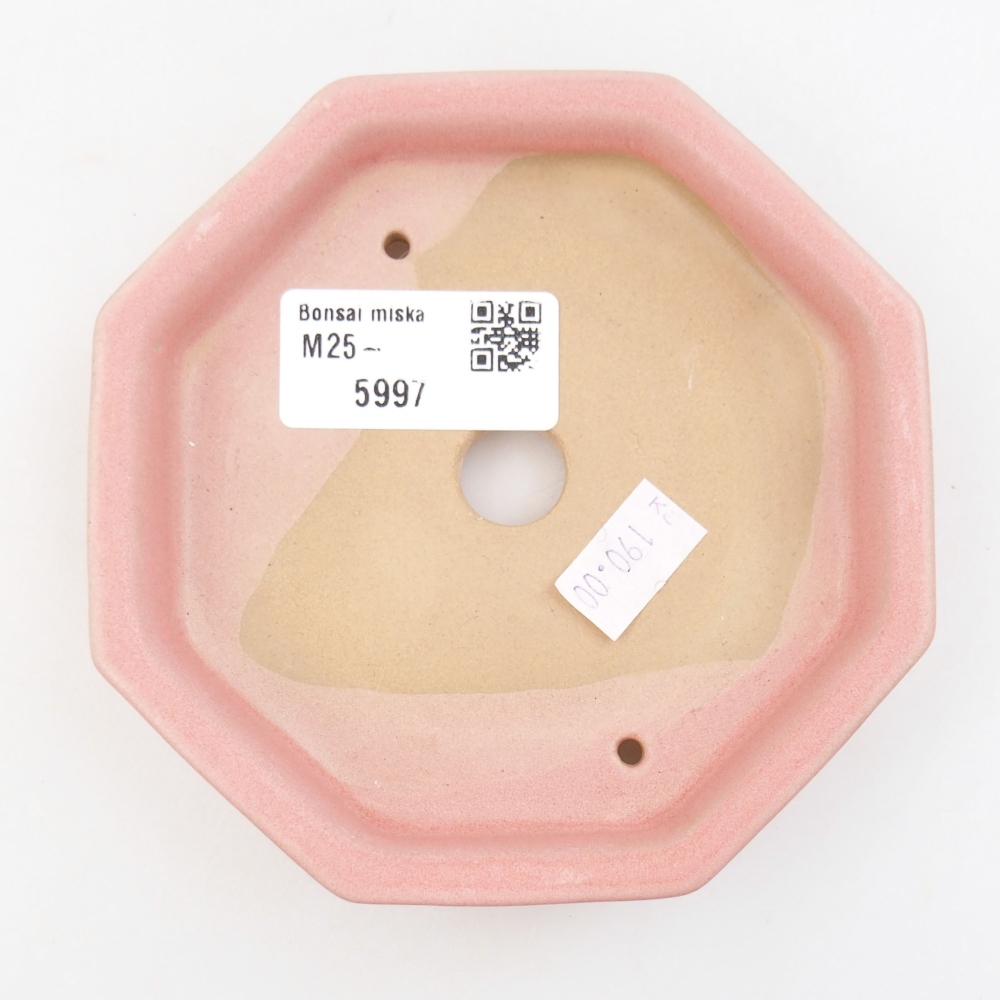 Bol à bonsaï en céramique 22 x 17 x 5 cm, vert