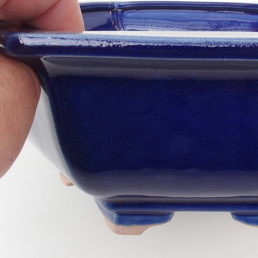 Coupe Bonsaï H53 - 19 x 21,5 x 7 cm - bleu