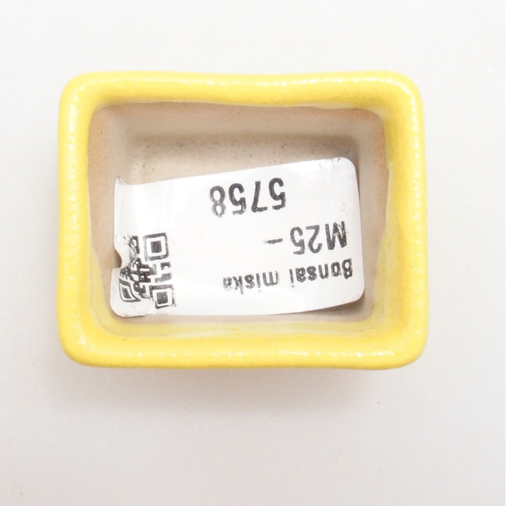 Bol à bonsaï en céramique 4 x 3,5 x 2,5 cm, jaune